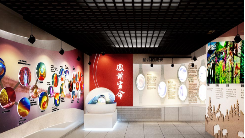 教育健康展廳文化墻