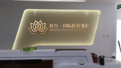 枝蔓國際醫療整形美容logo設計