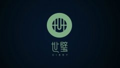 玉石品牌世璧企業logo設計