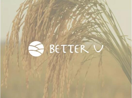 米飯?jiān)貏?chuàng)意logo設(shè)計(jì)