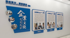精美企業公司文化墻效果圖