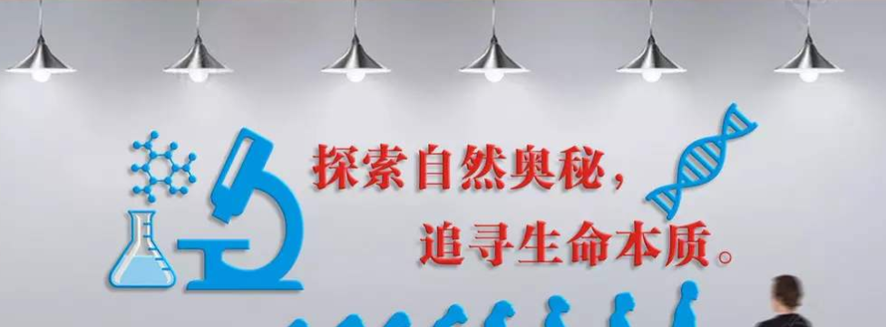 學校校園文化墻創意3d立體墻貼畫閱覽室圖書館