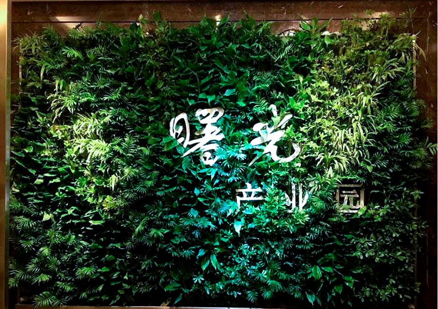 仿真植物文化墻制作效果圖